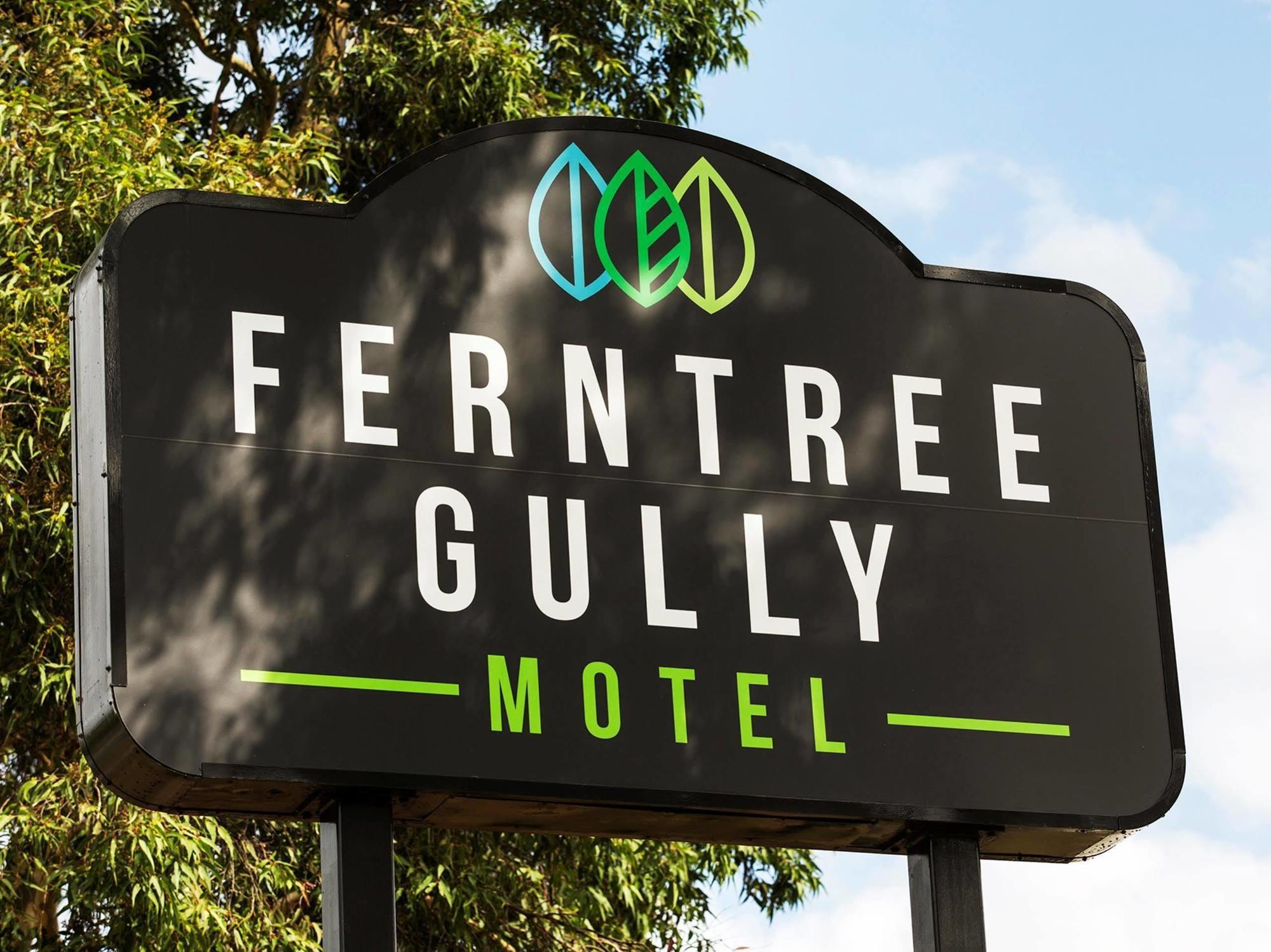 Nightcap At Ferntree Gully
